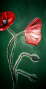 Mohnblume