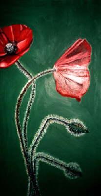 Mohnblume