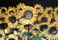 Sonnenblumenfeld