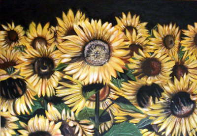 Sonnenblumenfeld